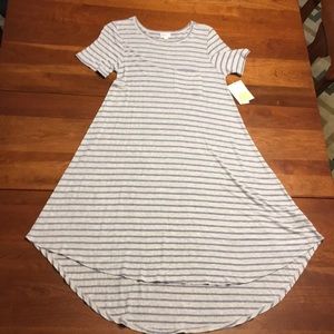 NWT Striped Carly Dress